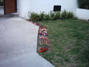 imagen20031217027.jpg