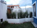 prev_imagen20031217028.jpg
